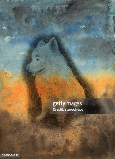 fluffy dog - dog scratching stock illustrations