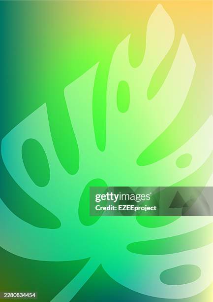abstract summer background with tropical monstera leaf silhouette gradient color. modern tropical backdrop with monstera foliage outline aesthetic design. minimalist tropical plant art background for flyer poster cover presentation - monstera shadow stock illustrations