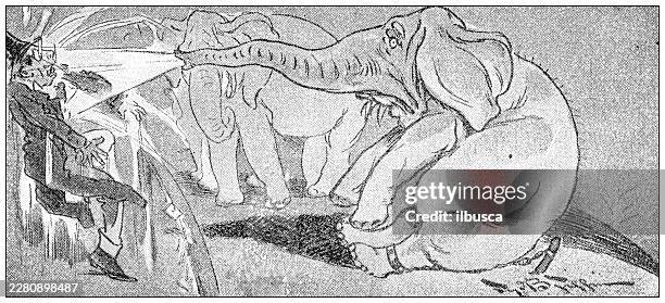elephant comic cartoon - sprinkling stock illustrations