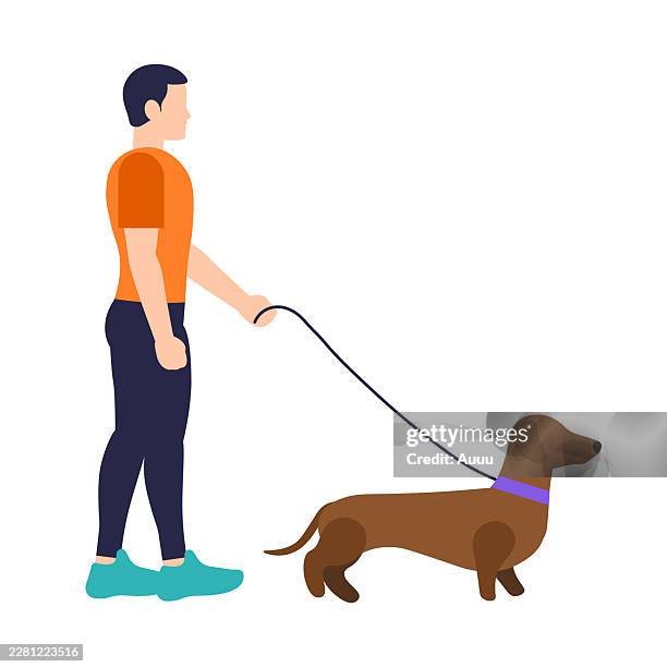 man walking with dog - guy walking dog stock illustrations