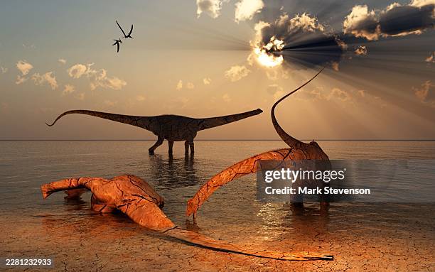 diplodocus dinosaurs facing death due to a drought - diplodocus stock illustrations