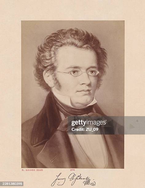 franz schubert (1797-1828), austrian composer, photograph, published 1878 - franz schubert stock illustrations