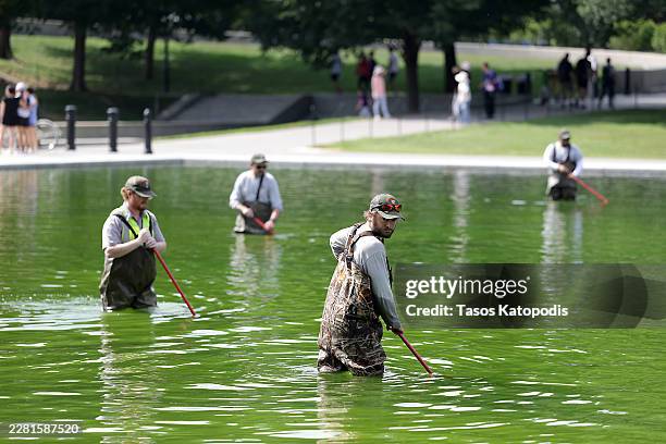 National Park Service employees work to clean up algae in the Lincoln Memorial Reflecting Pool following the completion of recent renovations on June...