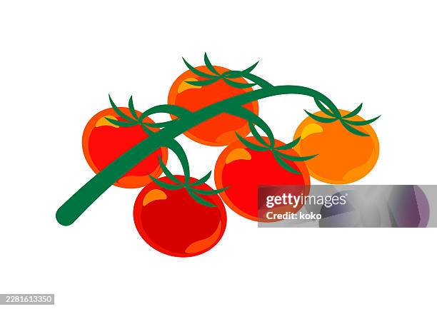 red tomato. - cherry tomatoes stock illustrations