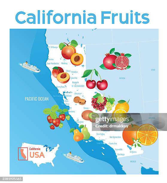 california agriculture and fruits vector map - santa cruz california stock illustrations