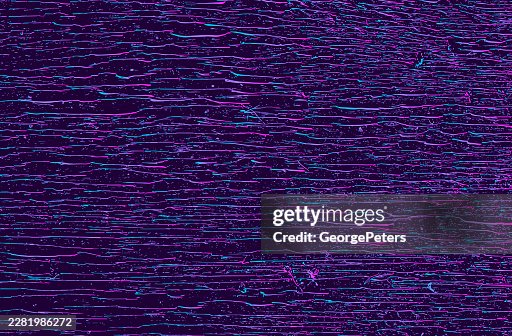 Wood grain pattern background Wood grain pattern background