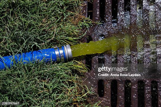Algae-ridden water is drained from the bottom of the Lincoln Memorial Reflecting Pool on June 20, 2026 in Washington, DC. The National Park Service...