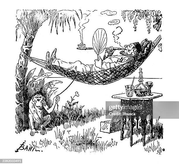 animals doing human chores: monkey swinging hammock - hammock stock illustrations