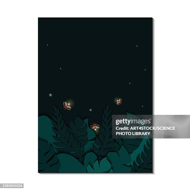 fireflies flashing at night, illustration - lightning bugs stock illustrations