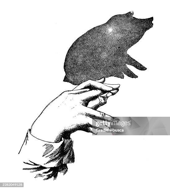 shadow theatre: pig - shadow puppet stock illustrations