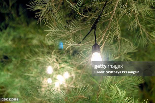 string lighting festoon creating a warm, cozy outdoor ambiance in a garden at twilight, glowing brightly against lush green foliage and dark night background - festoon lights stock pictures, royalty-free photos & images