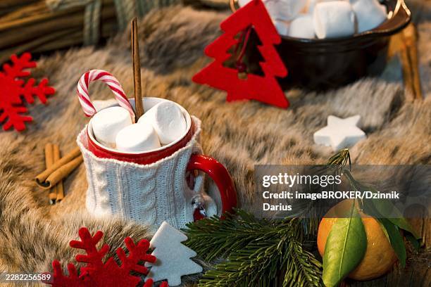 hot chocolate with marshmallow - malva pudding stock pictures, royalty-free photos & images