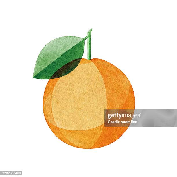 watercolor orange - orange objects stock illustrations