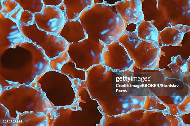 rubber red sponge surface super close-up view. magnification about 100 times - porous stock pictures, royalty-free photos & images