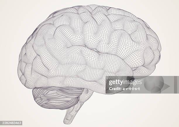 brain. 3d model. - model t stock illustrations