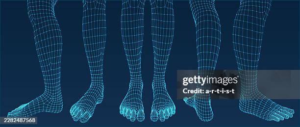 three dimensional feet. set. ware mesh from 3d app. - bionic leg stock illustrations