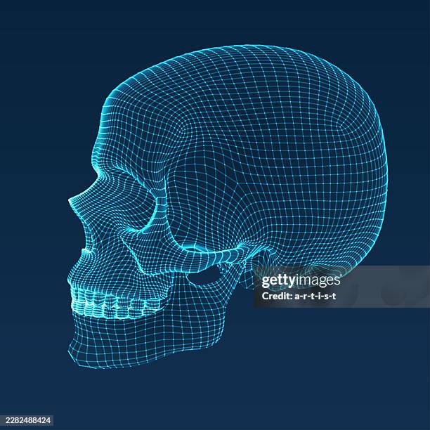 three dimensional skull. ware mesh from 3d app. - skeleton model stock illustrations