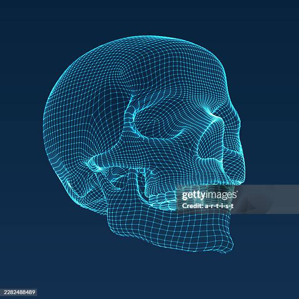 three dimensional skull. ware mesh from 3d app. - skeleton model stock illustrations