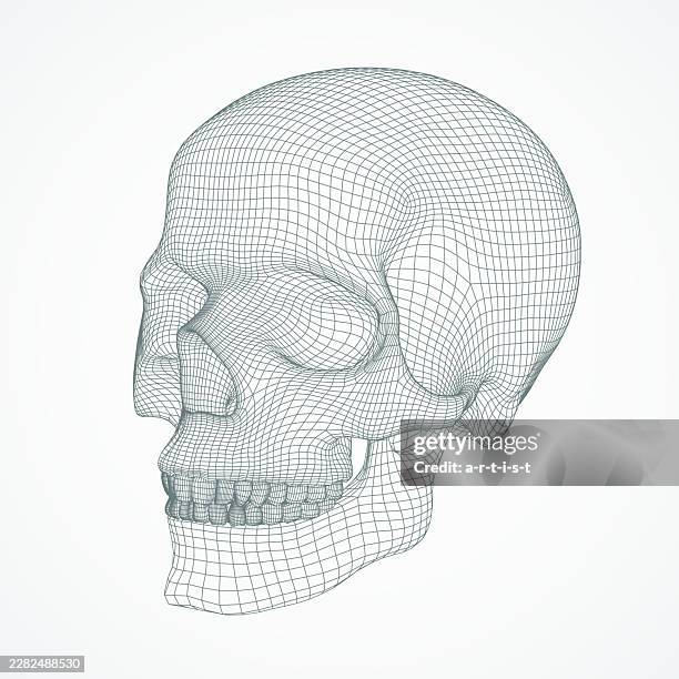 three dimensional skull. ware mesh from 3d app. - skeleton model stock illustrations