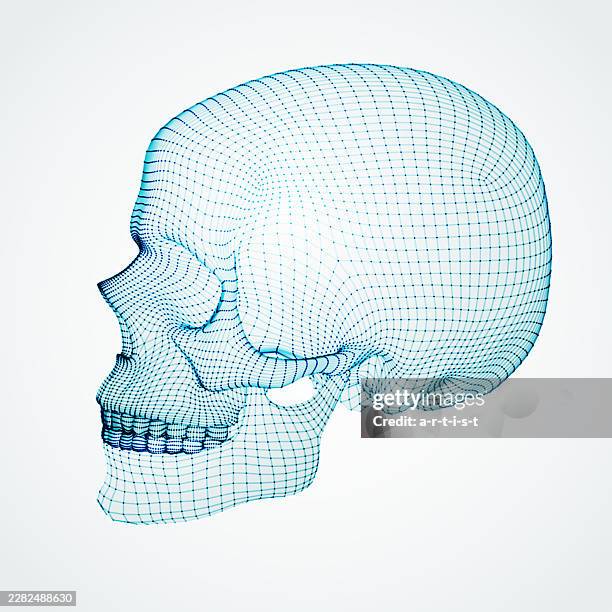 three dimensional skull. ware mesh from 3d app. - wireframe head stock illustrations