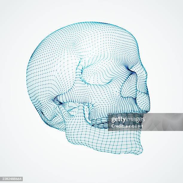 three dimensional skull. ware mesh from 3d app. - skeleton model stock illustrations
