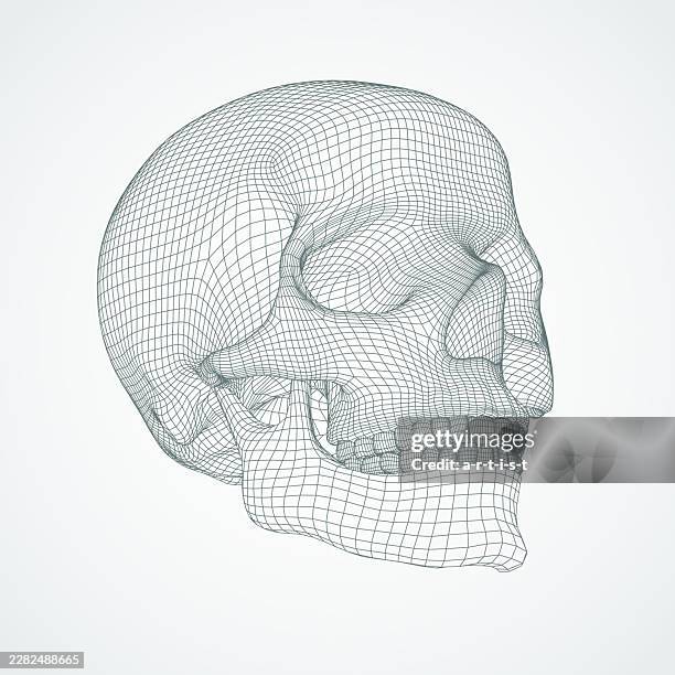 three dimensional skull. ware mesh from 3d app. - android head 3d stock illustrations