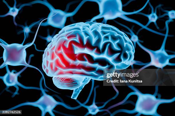 3d human brain surrounded by interconnected neurons and synaptic networks. conceptual visualization of neuroscience, neural communication, brain activity, cognition, artificial intelligence, neurological research, memory, learning, and medical innovation. - neurosurgery stock pictures, royalty-free photos & images
