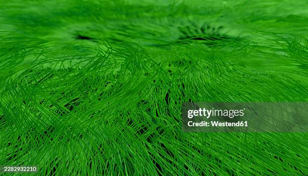 abstract green fibrous texture with dynamic organic pattern - macro science stock illustrations
