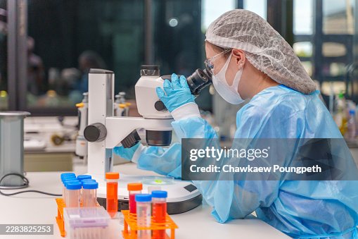 A dedicated scientist examines samples using a microscope in a clean high tech laboratory environment. A dedicated scientist examines samples using a microscope in a clean high tech laboratory environment.