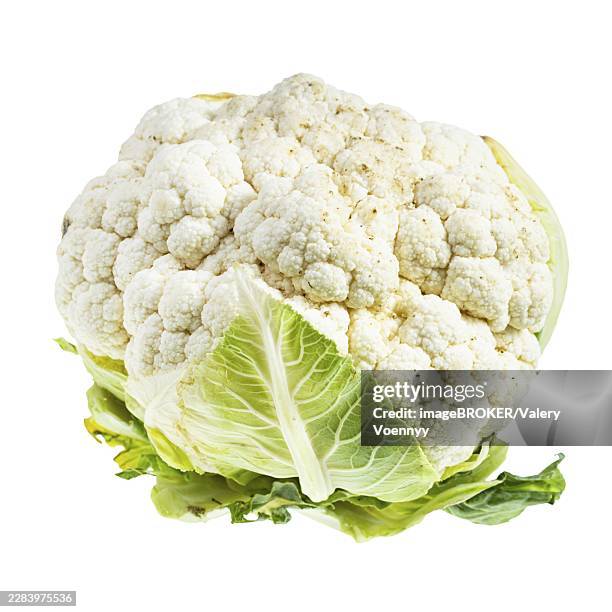 fresh ripe cauliflower isolated on white background - cauliflower stock pictures, royalty-free photos & images