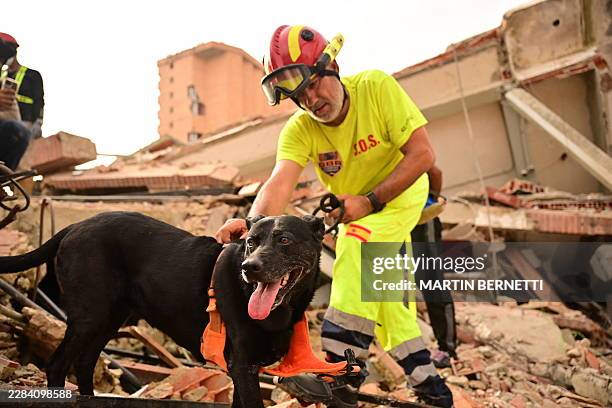 Spanish rescue dog Mica searches through the rubble alongside rescue workers at a collapsed building in Catia La Mar, La Guaira state, on the...