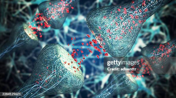 detailed 3d illustration of synaptic transmission in the nervous system - synaptic vesicle stock pictures, royalty-free photos & images