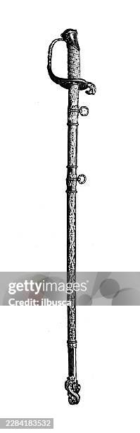 sword - gladiolus flower stock illustrations