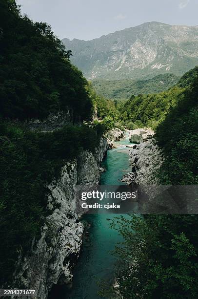 turquoise soča river flowing through a deep rocky limestone canyon - bovec stock pictures, royalty-free photos & images