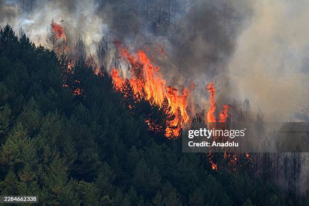 Flames and smoke rise from a wildfire that broke out the previous day in Espina de Tremor, reached level 1 on the Potential Severity Index and...