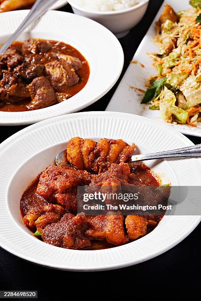 Ngar MaGeeThee Hin - fried catfish in onion-tomato based curry with tamarind and green pepper, WetThar ThaYetThee Hin - pork chunks in picked mango...