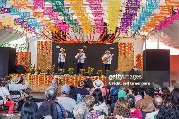 Mariachi trio performing live music on stage at the National Museum of Popular Culture, Coyoacan Avenida Miguel Hidalgo, Mexico City, Mexico.