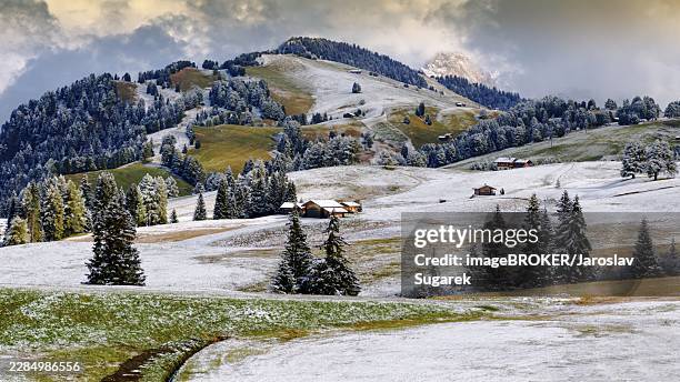 snowy alpe di siusi, seiser alm, sassolungo a sassoplatto during day - naturpark stock-fotos und bilder