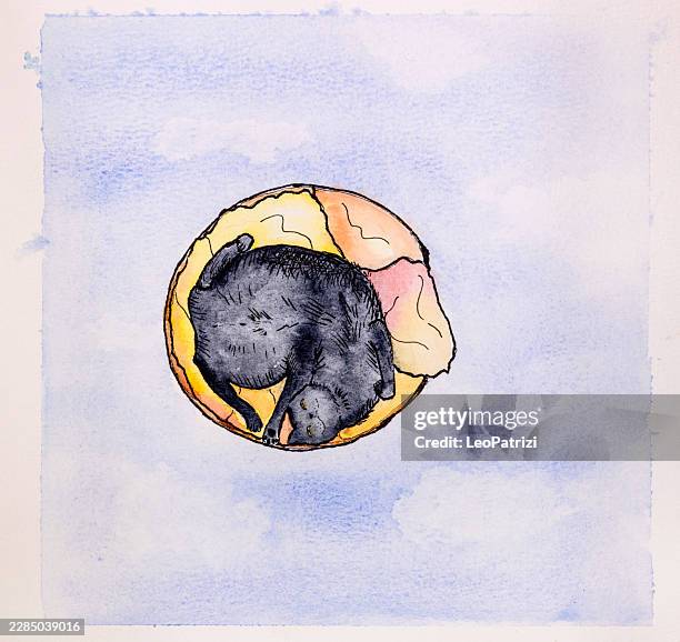 a serene black feline sleeps peacefully curled inside a floating crescent moon suspended amidst a soft and cloudy sky - cat looking down stock illustrations