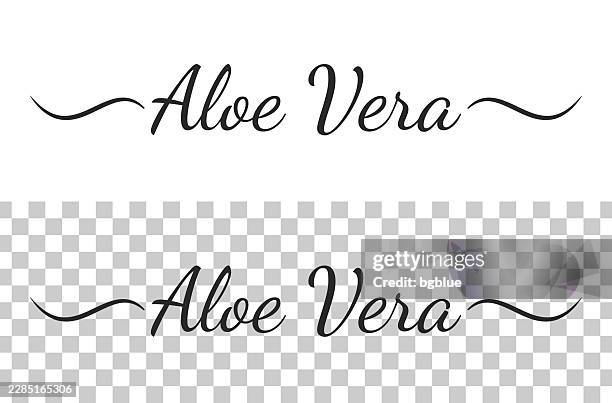 aloe vera - calligraphy text with swashes on blank background - aloe vera isolated stock illustrations