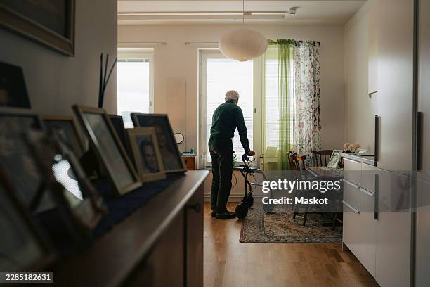 full length of senior man standing near window with help of mobility walker at retirement home - einzelner senior stock-fotos und bilder