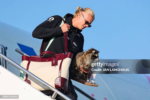 Norway's striker Erling Braut Haaland carries a taxidermy raccoon as he gets off the plane after Norway's national football team landed at Oslo's...