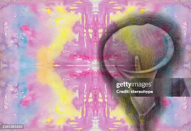 simle lily - hydrangea stock illustrations