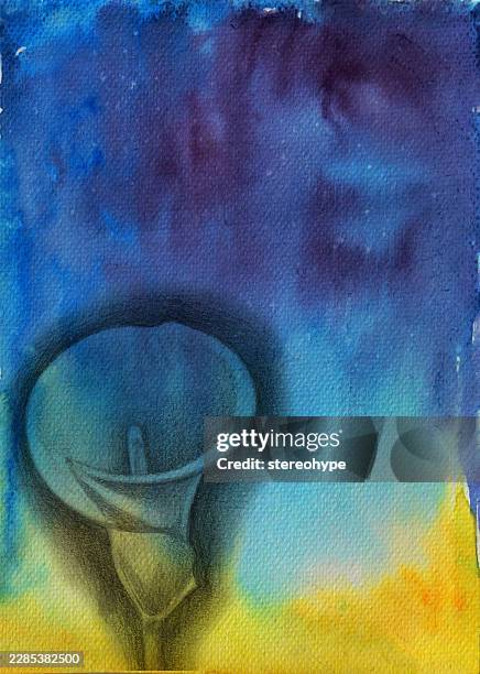 simle lily - hydrangea stock illustrations
