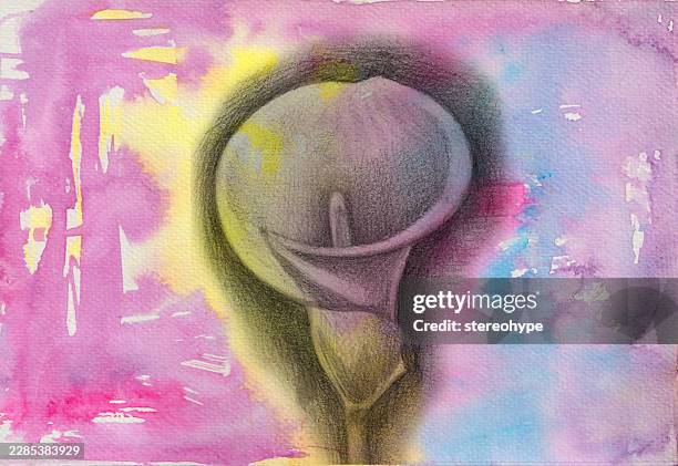 simle lily - foraging stock illustrations