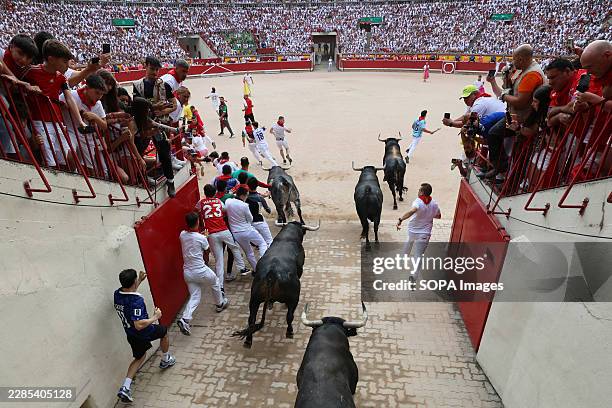Runners run in front of the bulls as they enter the stadium during the running of the bulls during the San Fermín 2026 festivities. The bulls are...