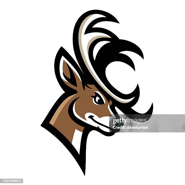 deer buck head - white tailed deer stock illustrations