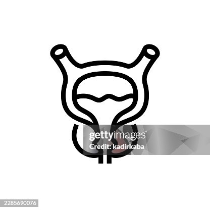 Benign Prostatic Hyperplasia Line Icon Benign Prostatic Hyperplasia Line Icon