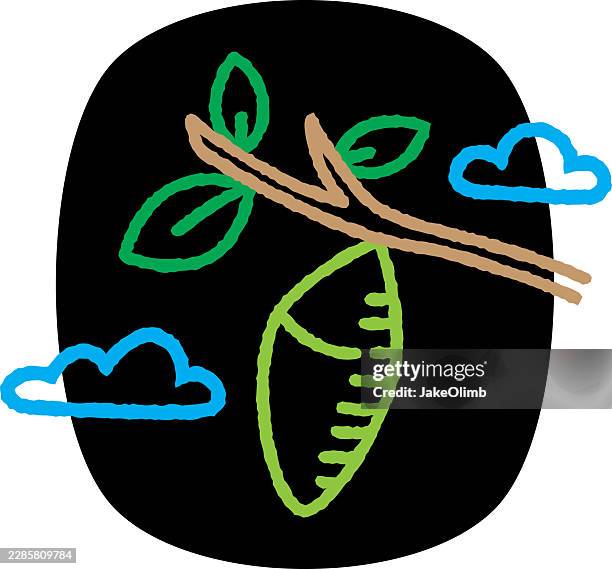 cocoon doodle 2 - life cycle vector stock illustrations