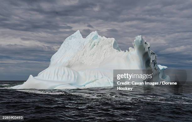 large iceberg floats in dark choppy water off newfoundland coast - twillingate stock pictures, royalty-free photos & images